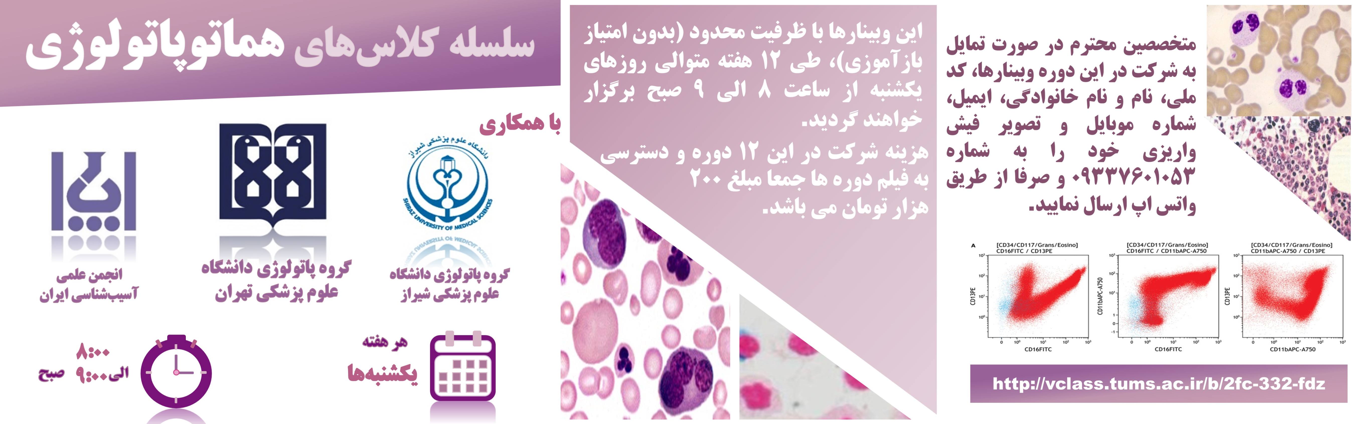 Series Of Hematopathology Classes 2020